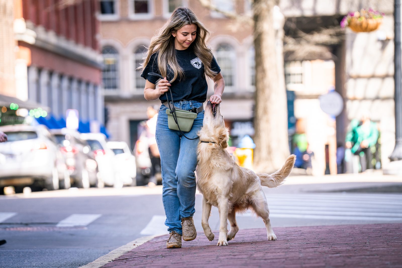 Puppy Obedience Training in Knoxville, TN