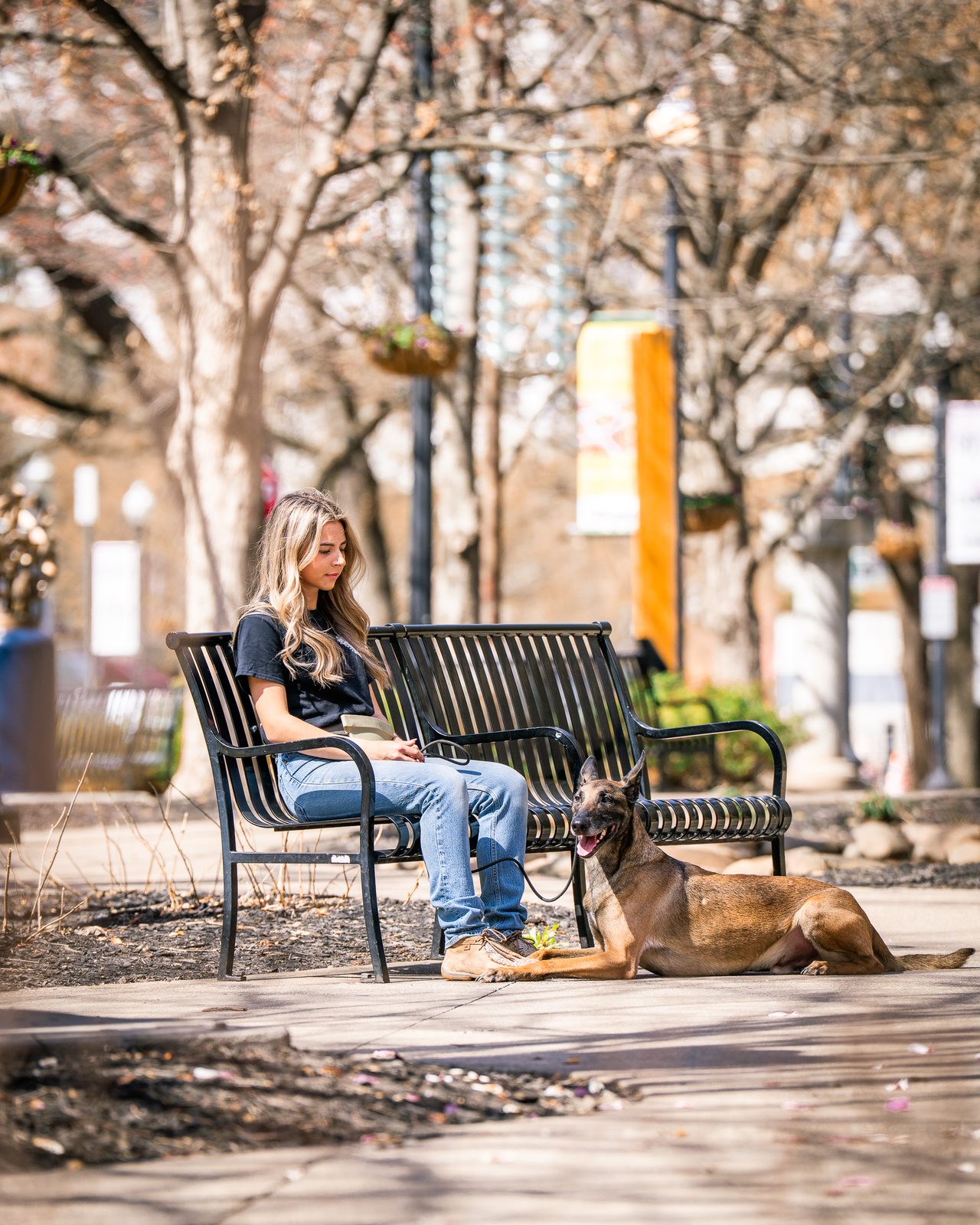 Advanced Obedience Training in Knoxville, TN