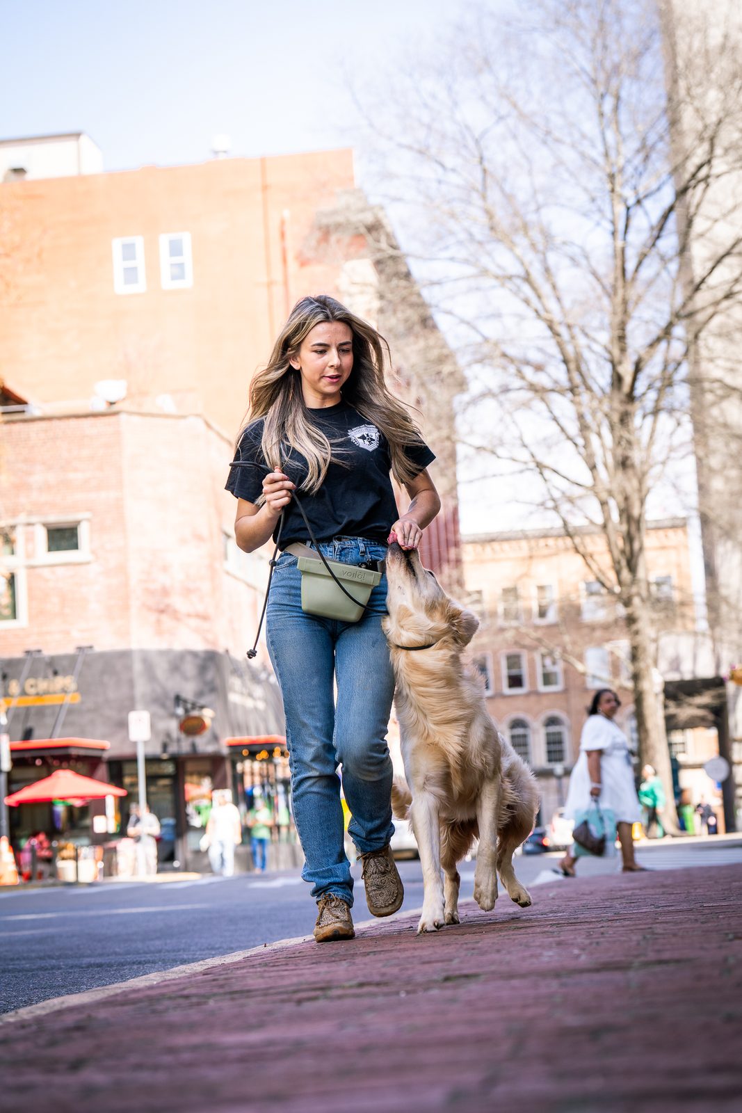 Leash Manners Training in Knoxville, TN